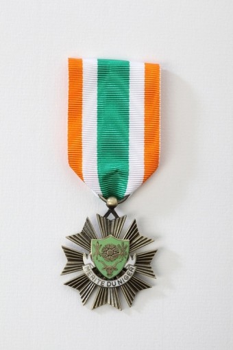 Ordre du Mérite du Niger 