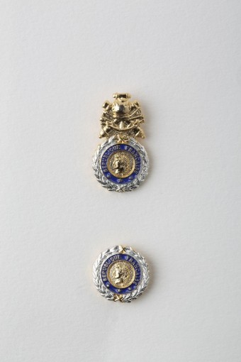 Pin's de la Médaille Militaire