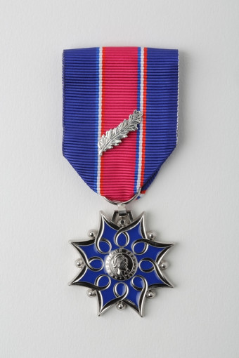 Médaille Santé & Affaires Sociales Argent