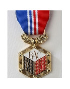 médaille du bachelier, du bac, medaille du brevet des collèges dnb 